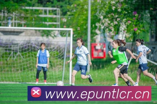 星空官方网站入口平台生态图